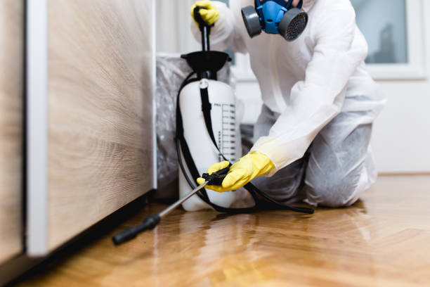 Best Emergency Pest Control  in Crescent City, CA