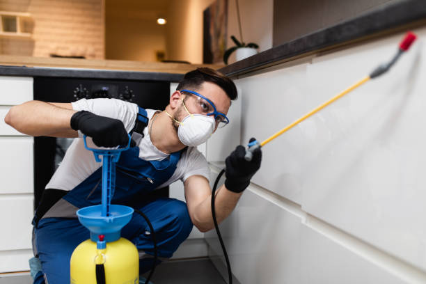 Best Ant Control Services  in Crescent City, CA