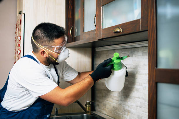 Best Best Pest Control Companies  in Crescent City, CA