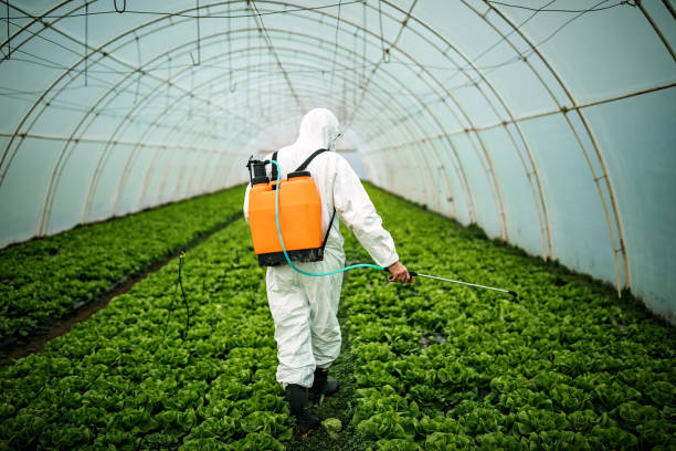 Best Best Pest Control Near Me  in Crescent City, CA