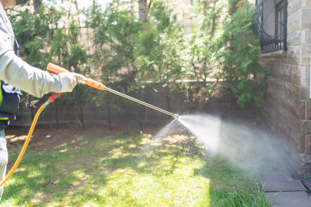 Best Exterminator Services  in Crescent City, CA
