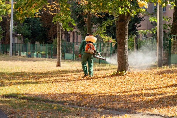 Best Affordable Pest Control Services  in Crescent City, CA
