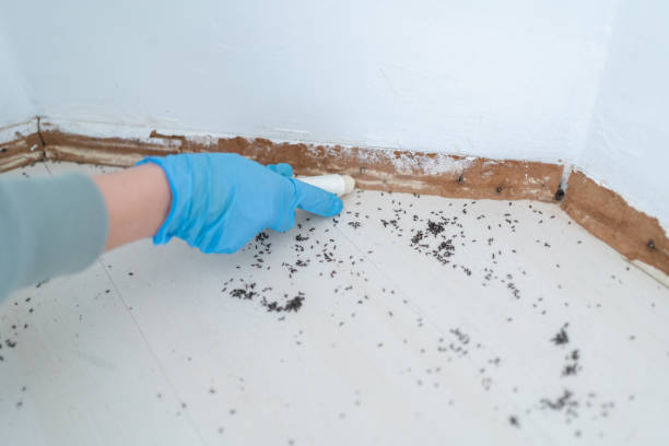 Best Cockroach Control Services  in Crescent City, CA
