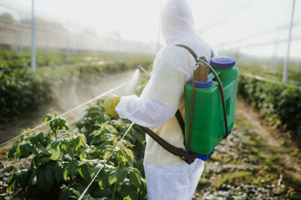 Best Pest Inspection Near Me  in Crescent City, CA